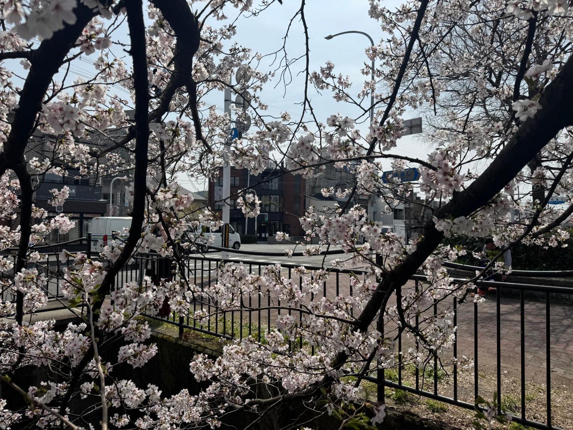 Mont-モン-Kamogawa Stay And Hotel เกียวโต ภายนอก รูปภาพ
